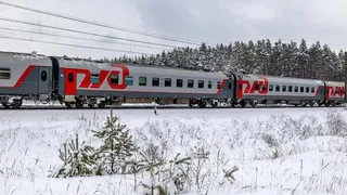 В Муроме полицейские сняли трех нетрезвых хулиганов с поезда