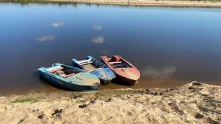 «Страдать будем все»: синоптик Вильфанд назвал точную дату, когда адское пекло придет в Россию