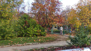 Прогноз погоды точно не обрадует: синоптики рассказали, когда наступит настоящая осень