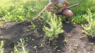 Народный репортер: нижнекамцы жалуются на летнюю отработку детей, грязь возле памятника Лемаеву и дороги