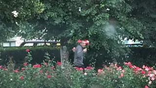 В центре Рязани парень испортил клумбу с цветами