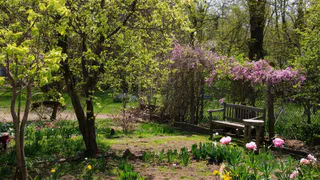 Спасаем сад от сюрпризов мая и жары июня — эффективный способ укрепить растения