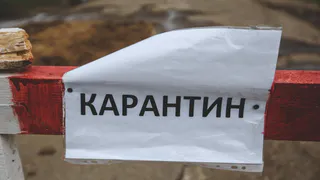 В Пензенской области в двух населенных пунктах установили карантин по бешенству