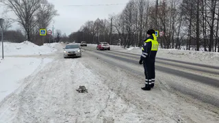 С 16 марта на выезде из города будут отбирать автомобили: водителей ждет неприятный сюрприз