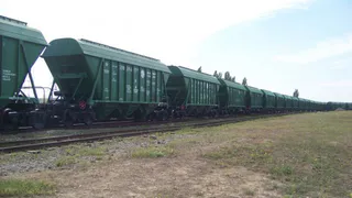 Брянское зерно рекордными темпами вывозится за рубеж