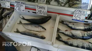 Названа самая полезная для человека рыба - ешьте 2 раза в неделю, богата цинком и омега-6