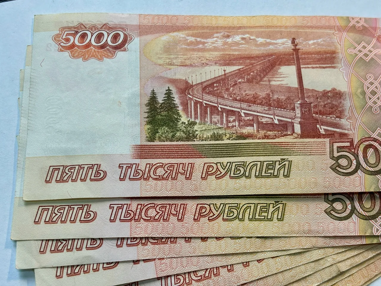В Челябинской области суд обязал владельца алабаев выплатить компенсации пострадавшим от нападения девочкам