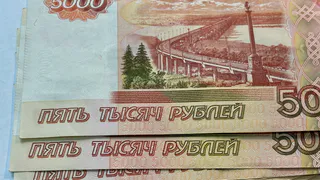 В Челябинской области суд обязал владельца алабаев выплатить компенсации пострадавшим от нападения девочкам