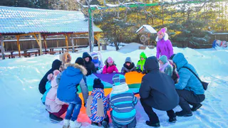 Владимирские парки из-за аномальных морозов отменяют мероприятия