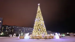 Нижнекамская елка стала второй