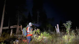 В Коми "ЛизаАлерт" ищет пропавшего пенсионера в лесах Сыктывдина: промежуточный отчет