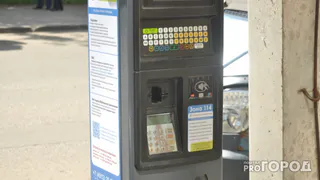 Уже скоро: Многодетные семьи Рязани  смогут парковаться бесплатно