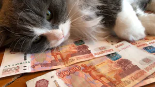 Правила меняются: накопительную пенсию будут выплачивать по-новому - уже решили