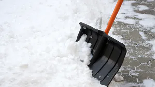 Нижнекамка: «Спасибо за труд!»