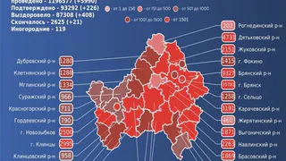 За сутки от коронавируса умер 21 брянец