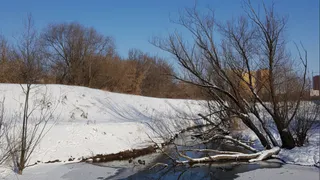 Достаем лодки: погода в Рязани на выходные