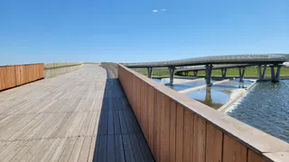 "Солнце и грозы": какая погода ждет Челябинскую область