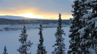 Следователи выясняют обстоятельства гибели мужчин в парке «Югыд ва»