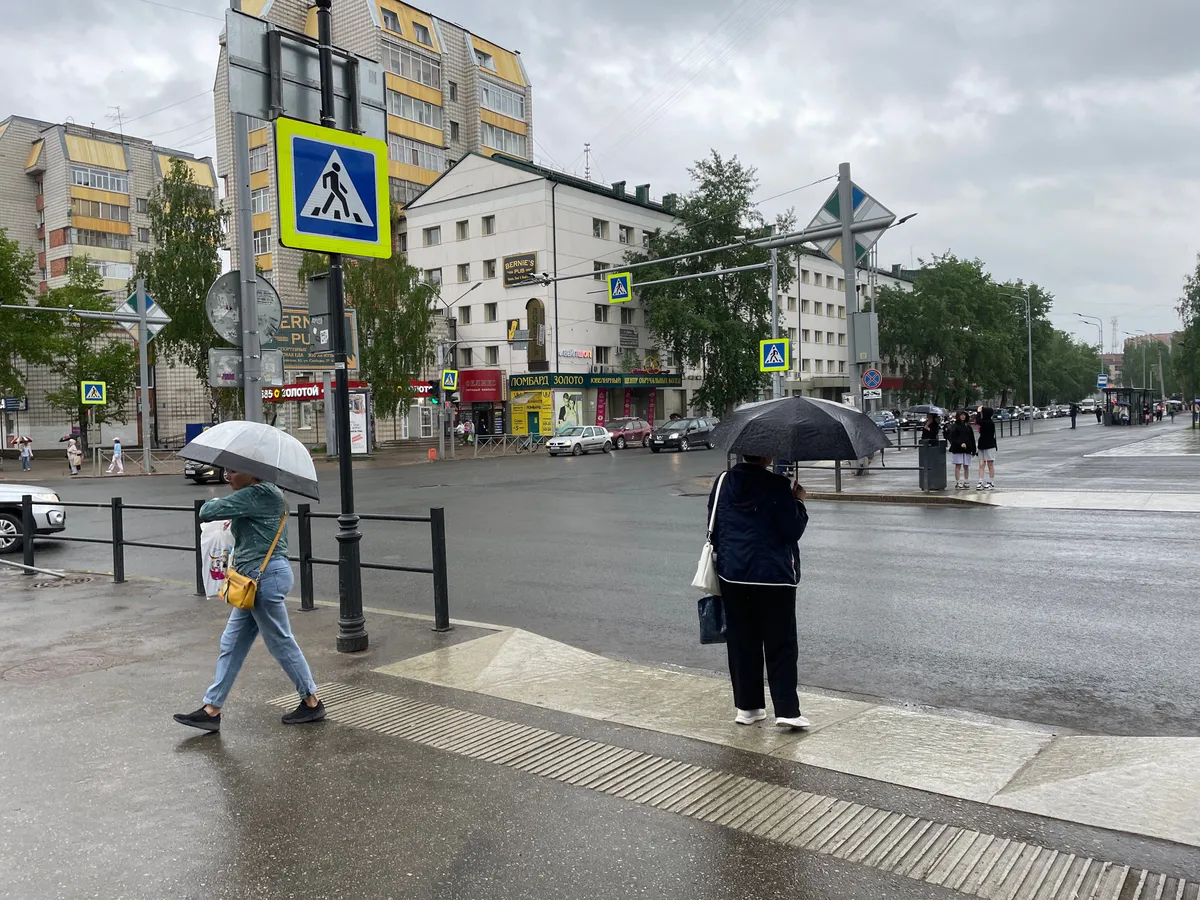 Лето 2024 года стало одним из наиболее влажных в Магнитогорске за всю историю