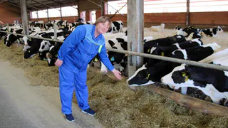 Как развивается АПК Владимирской области?