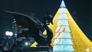 Огни на главной казанской елке зажгутся 23 декабря (0+)