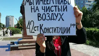 Рязанцы, которым не все равно: в Дашково-Песочне пройдет новый пикет за чистый воздух