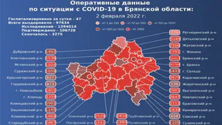 За сутки COVID-19 в Брянской области выявили у 1251 человека