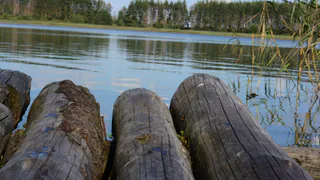 Из Оки под Касимовым подняли тело женщины
