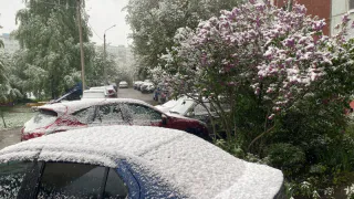 Готовьтесь к еще 1 волне холода: на следующей неделе температура упадет вниз