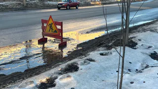 Холода никуда не уйдут: синоптик назвал даты, когда дачникам можно высаживать рассаду
