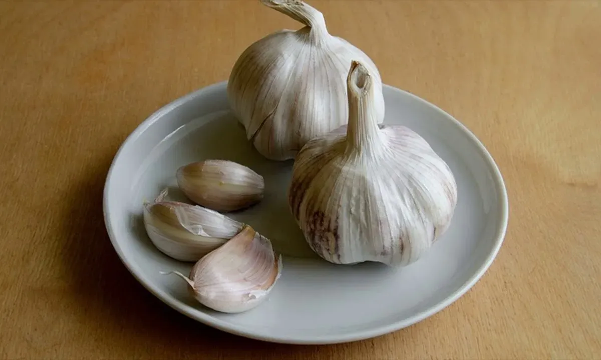 Чеснок перестал "плакать" при поливе: взяла один бабушкин секрет — и зубчики стали крупнее в два раза