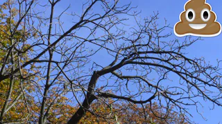 Эпопея продолжается: едкий запах достиг села Константиново