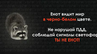 "Подслушано у водителей в Рязани" призывают к осторожности на дороге