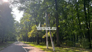 В Пензе отметили День велосипедиста гонкой