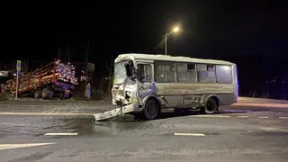 Под Сыктывкаром автобус столкнулся с лесовозом: пострадали водители и школьницы