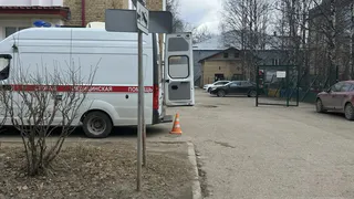 В Коми под колесами автомобилей оказались пенсионерка и юный велосипедист