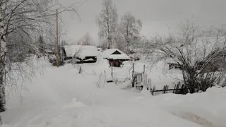 Аномальная жара на пороге: весна нагрянет неожиданно - такого не было несколько десятилетий