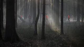 День пропавших детей: 5 правил поиска ребенка от отряда «Лиза Алерт»