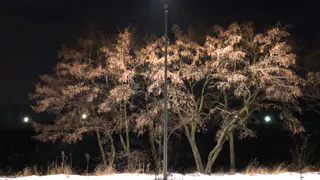 На Восточной окружной поставят 3 километра освещения