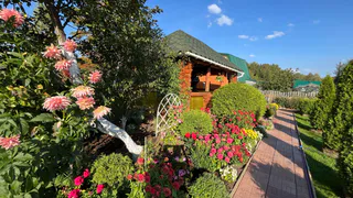 Пока соседи гнут спины - я пью чай: 1 кухонный трюк, который держит грядки без сорняков весь сезон