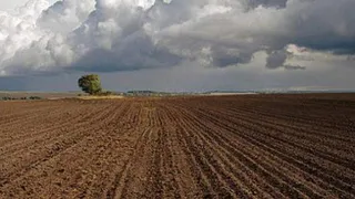 В Брянской области попытаются изъять 816,7 гектара земель