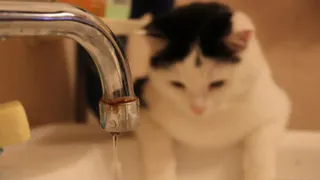 Список улиц: начало недели начнется с отключения воды в Рязани