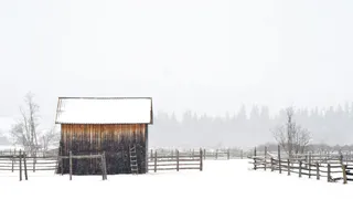 В ночь с четверга на пятницу в Рязанской области резко похолодает