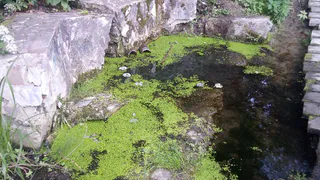 В Рязани после размыва склона рухнула беседка у жилых домов