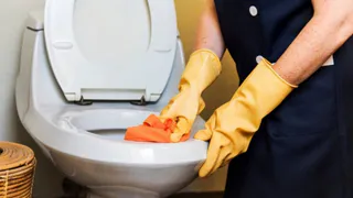 Кладу обычный лавровый лист в унитаз, уходя из дома — и не на радуюсь: камеристка дала совет