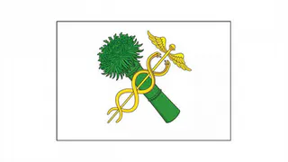 Конопля официально узаконена на гербе Новозыбкова