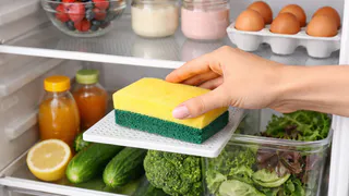 При затхлой вони в холодильнике — сразу: кладу на полку копеечный предмет с кухни — работает лучше соды