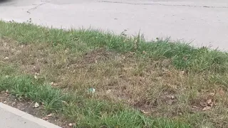 В перекрестке Гоголя и Полежаева в Рязани в ДТП попали две иномарки