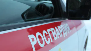 В Коми росгвардейцы задержали граждан за кражу продуктов из магазинов