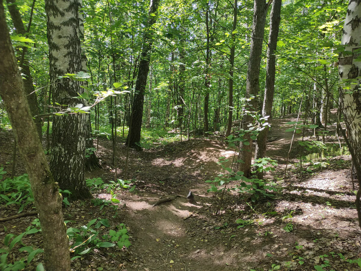 В Магнитогорске нашли тело пенсионерки, пропавшей больше месяца назад